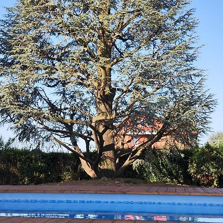 Villa Cresto Gaglianico Zewnętrze zdjęcie